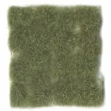 Wild Tuft Dry Green VASC424