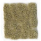 Wild Tuft Beige VASC429