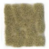 Wild Tuft Beige VASC429