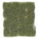Wild Tuft Dry Green VASC424