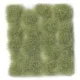 Wild Tuft Light Green VASC426