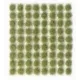 Wild Tuft Light Green VASC407