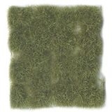 Wild Tuft Dry Green VASC424