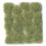 Wild Tuft Light Green VASC426