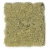 Wild Tuft Dense Beige VASC412